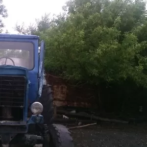 ПРодам трактор МТЗ-50