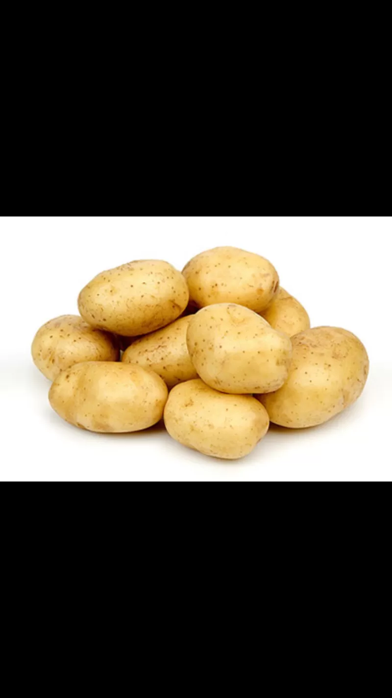 Продам едовой картофель
