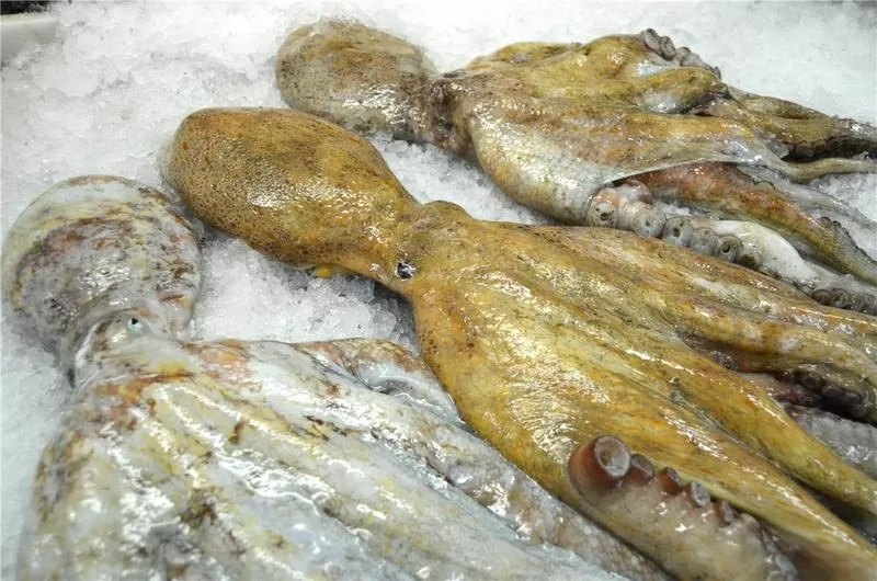 Рыба свежемороженная от прямых производителей 4